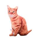 Boneca de brinquedo de pelúcia 3D realista para gatos malhados de 50 cm Recheada macia