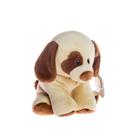 Boneca de brinquedo de pelúcia amarela e marrom para cães 20cm