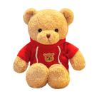 Boneca de pelúcia Teddy Bear Doll, desenho animado de pelúcia, 50 cm com capuz