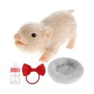 Boneca De Silicone Macio De 5 Polegadas, Porquinho Realista, Brinquedo De Descompressão De Animal