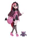 Boneca Monster High Draculaura com Acessórios e Pet