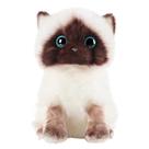 Bonecas de pelúcia para gatos siameses e brinquedos de pelúcia para crianças de 20 cm