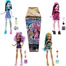 Bonecas Monster High Buried Secrets Cozy Creepover - Com Acessórios