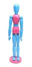Boneco Articulado Color 30cm Azul E Rosa