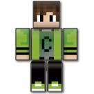 Boneco Cadres 35CM Minecraft Turma do Problems Articulado