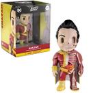 Boneco Colecionável XXRAY Shazam Anatomia dos Heróis
