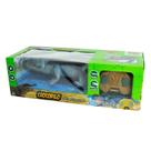 Boneco Crocodilo Cinza com Controle Infravermelho DM Toys