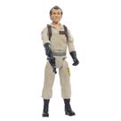 Boneco de ação Ghostbusters Hasbro Peter Venkman 30cm E9788