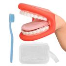 Boneco de boca Ultrassist Ultrassist de tamanho médio com língua para crianças, cor vermelha, boneco bucal para terapia da fala, inclui escova de dentes Boneco de boca Ultrassist Ultrassist de tamanho médio com língua para crianças, cor vermelha, boneco bucal para terapia da fala, inclui escova de dentes