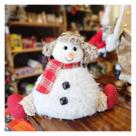 Boneco de Neve Floc Sentado Pelúcido com Chapeu Bone 25cm Boneco de Neve Floc Sentado Pelúcido com Chapeu Bone 25cm