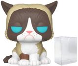 Boneco de vinil Funko Icons Grumpy Cat com protetor de caixa pop