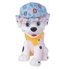 Boneco Esquadrão Pet Banho Com Acessórios Super Toys