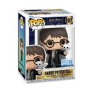 Boneco Funko Pop Buddy Harry Potter e Edwiges - Candide