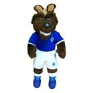 Boneco Mascote Raposão Pelúcia Cruzeiro Estrela