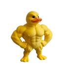 Boneco Pato Bombado Musculoso Bodybuilder Enfeite Criativo e Divertido -