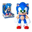 Boneco Sonic The Hedgehog 21cm Colecionável
