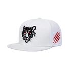 Bonés De Beisebol Ajustáveis Unissex Com Bordado De Tigre, Estilo Hip-hop, Para Primavera E Outono,