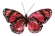 Borboleta Decoração Natal 11,5cm Com 6 Pçs Várias Cores