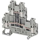 Borne Sak Duplo Nsytrv24d 2.5mm Schneider