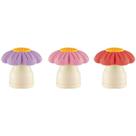 Borracha Decorada TRIS Floral C/APONTADOR 3CORES DP.C/12