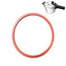 Borracha Panela De Pressão 3D Alcast 5,5 Litros Silicone