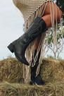 Bota Texana Feminina Cano Alto western Bico Fino Bordada Estilo Country Moda
