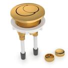 Botăo Acionamento 3/6 litros com Capa Fixaçăo Dourado Celite Botăo Acionamento 3/6 litros com Capa Fixaçăo Dourado Celite