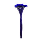Botão Coroinha Azul Desidratado