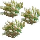 Botão de Agapanto 60cm Lilás - silicone