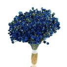 Botão Jazida Azul Desidratado Botão Jazida Azul Desidratado