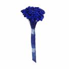 Botão Margarida Azul Desidratado Botão Margarida Azul Desidratado
