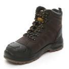 Botas de trabalho DEWALT Hadley Waterproof Steel Safety Toe Masculinas Marrons