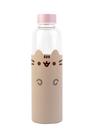 Botella de Agua de Vidrio Grupo Erik Pusheen 500ml Aislada