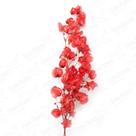 Bougainvile Desidratado Buque Flores Secas
