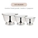 Bowl Pequeno Bloom + Bowl Médio Bloom + Bowl Grande Bloom Bowl Pequeno Bloom + Bowl Médio Bloom + Bowl Grande Bloom
