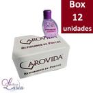 "Box Reparador Defrizante 30 ml Prancha e Escova (12 unidades) - Arovida