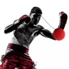 Boxing Reflex Ball O Treino Divertido que Queima Gordura Boxing Reflex Ball O Treino Divertido que Queima Gordura
