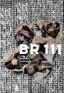 Br 111 - A Rota das Prisões Brasileiras Br 111 - A Rota das Prisões Brasileiras