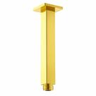 Braço de Teto Dourado Brilhante