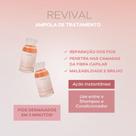 Braé Revival Power Dose - Ampola de Tratamento Capilar 13ml Braé Revival Power Dose - Ampola de Tratamento Capilar 13ml