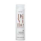 Braé Shampoo Anti frizz Divine Absolutely Smooth 250ml