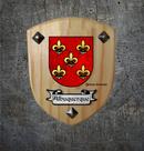 Brasão da família Albuquerque ( feito na madeira )