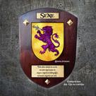 Brasão Da família SENE na madeira