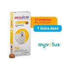 Bravecto antipulgas e carrapatos para cães de 2 a 4,5 kg msd