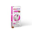 Bravecto Comprimido Antipulgas e Carrapatos 40 a 56 Kg