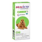 Bravecto Para Cães 10 A 20kg 500mg Antipulgas Transdermal
