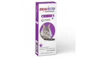 Bravecto Para Gatos Anti Pulgas E Carrapatos 6,25 A 12,5kg Bravecto Para Gatos Anti Pulgas E Carrapatos 6,25 A 12,5kg