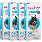 BravectoCães 20 A 40kg 1000mg Antipulgas - Kit com 4 Unidades - Envio Imediato