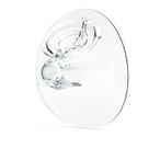 Breast Shield Elvie 28 mm, pacote com 2 unidades, sem BPA, lavável na máquina de lavar louça