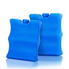 Breastmilk Ice Pack Teamoy Pack de 2 para armazenamento e transporte